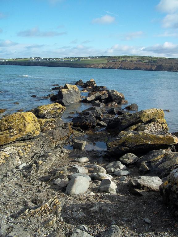Teifi Netpool Hotel Pembroke Luaran gambar