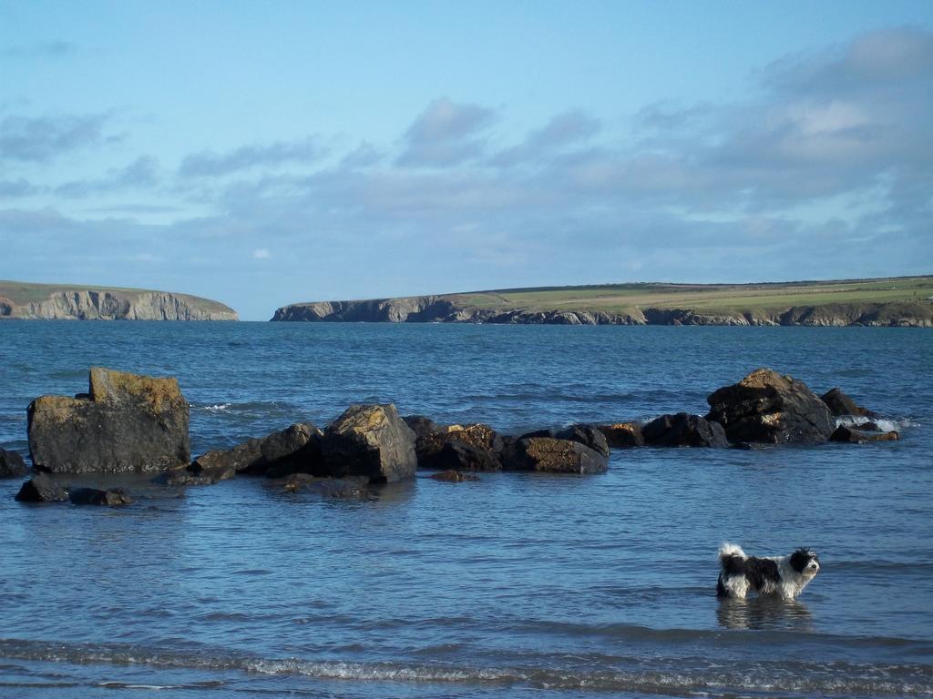 Teifi Netpool Hotel Pembroke Luaran gambar